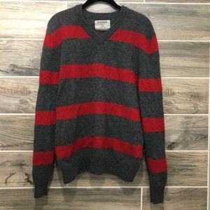 Express Lambs Wool V-neck Striped Sweater